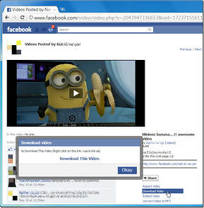 facebook-video-downloader_thumb