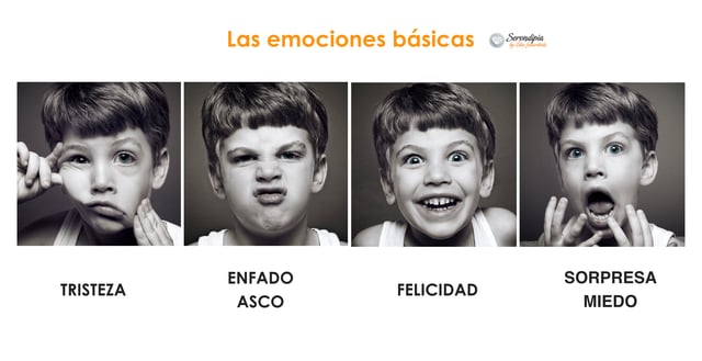 marketing emocional 4 emociones basicas universidad glasgow