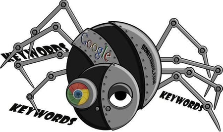 araña de google