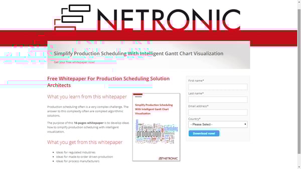 Estrategia de Marketing visual-NETRONIC