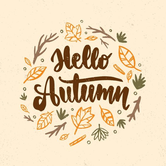Adobe-Illustrator