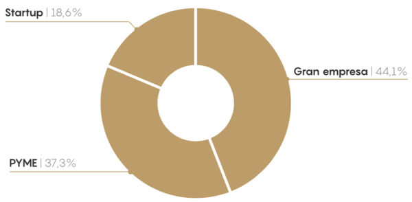 Distribucion de proyectos segun tamaño de empresa