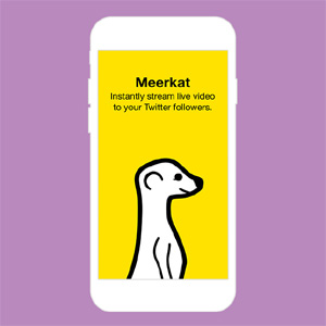 Meerkat