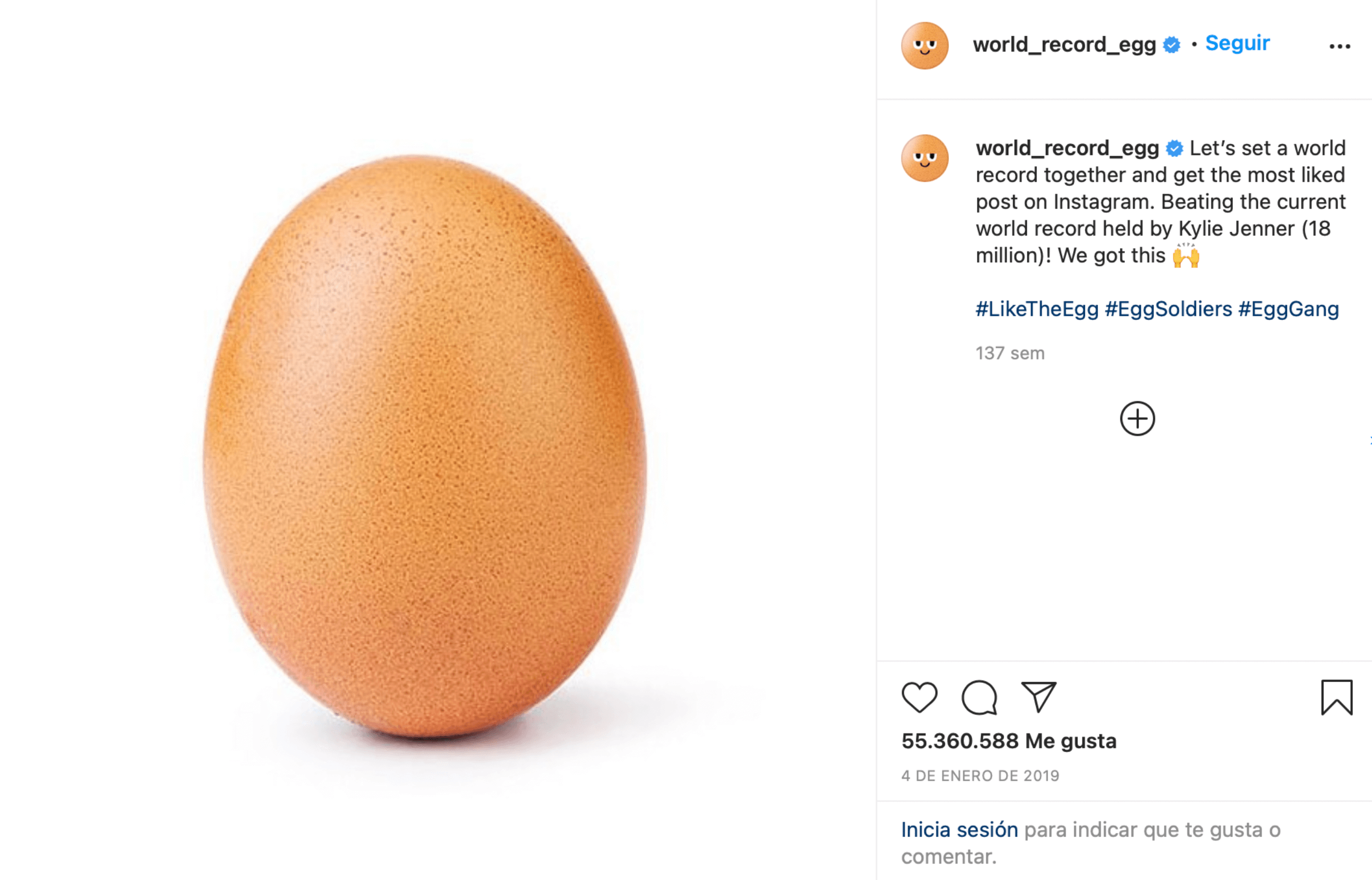 Record - Egg 