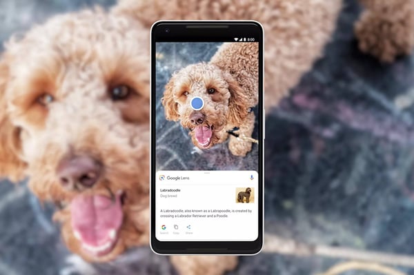 Visual Search que es