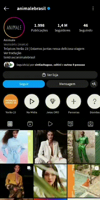anuncio-no-instagram-animalebrasil