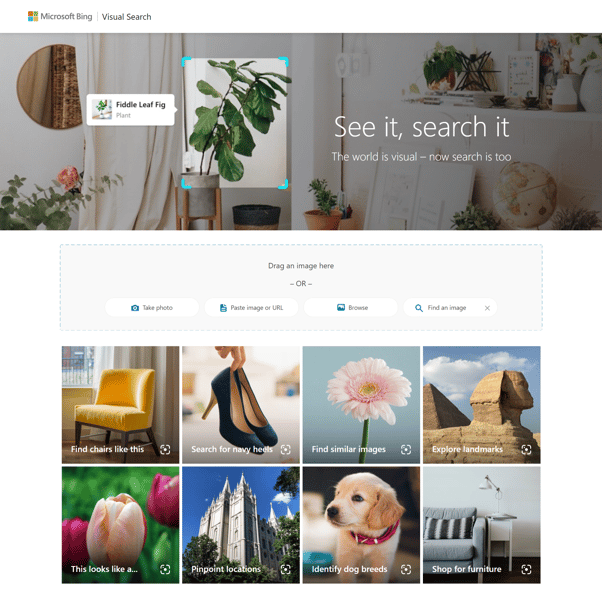 busqueda inversa de imagenes Bing Visual Search