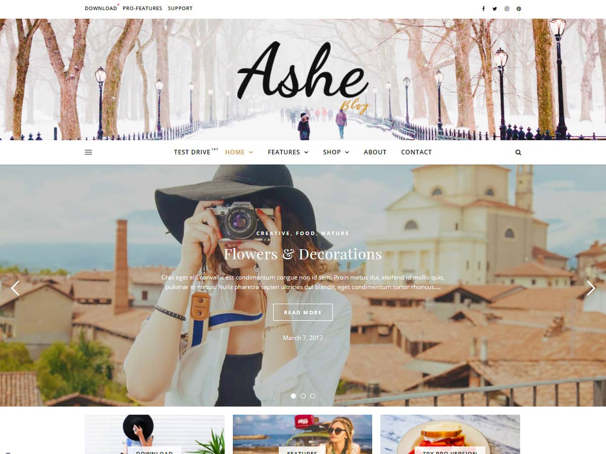 mejores plantillas de wordpress ashe