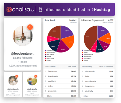 metricas de instagram Analisa