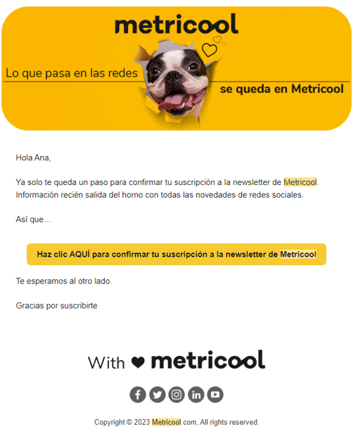metricool double opt-in