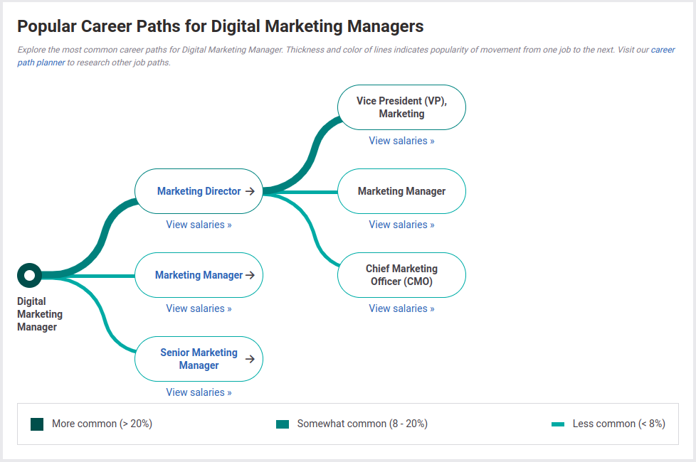 popular-career-paths-for-digital-marketing-manager