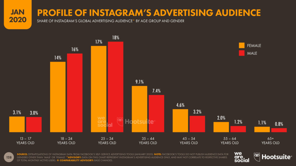profile of instagrams audience