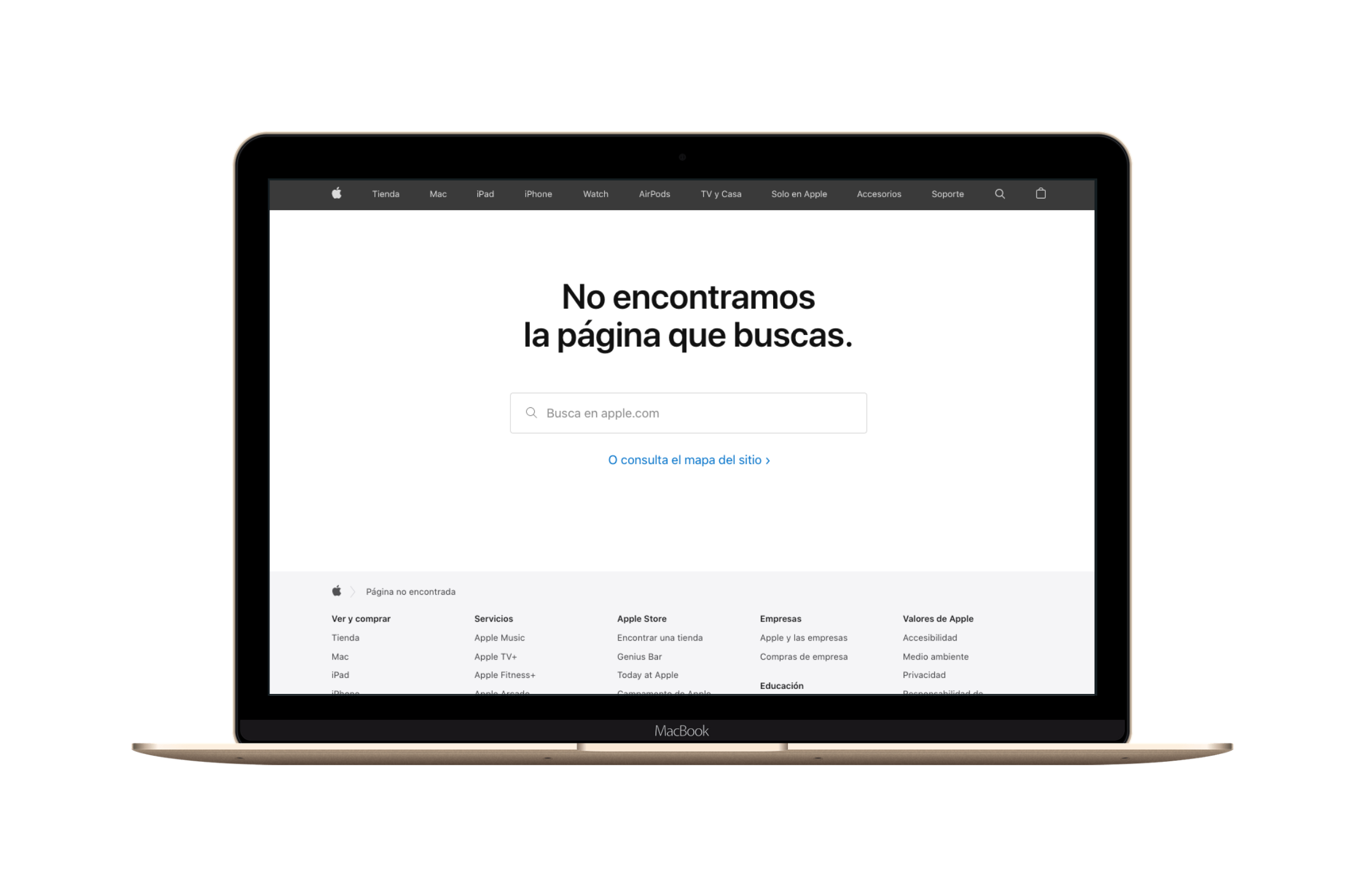 ᐅ HTTP Error 404 not found: qué es y cómo solucionarlo rápido